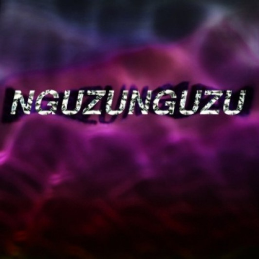Nguzunguzu - Nguzunguzu Ep - 12" Vinyl Nguzunguzu - Nguzunguzu Ep - 12" Vinyl