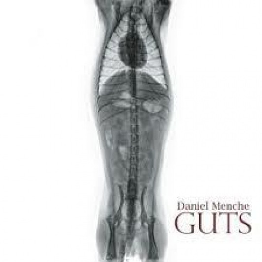 Daniel Menche - Guts - 2x LP Vinyl Daniel Menche - Guts - 2x LP Vinyl