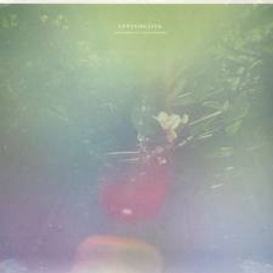 Laura Arkana met Peter Broderick - Lentemuziek - LP Vinyl Laura Arkana met Peter Broderick - Lentemuziek - LP Vinyl