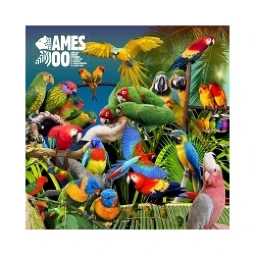Jameszoo - Guanyin Psittacines - 10" Vinyl