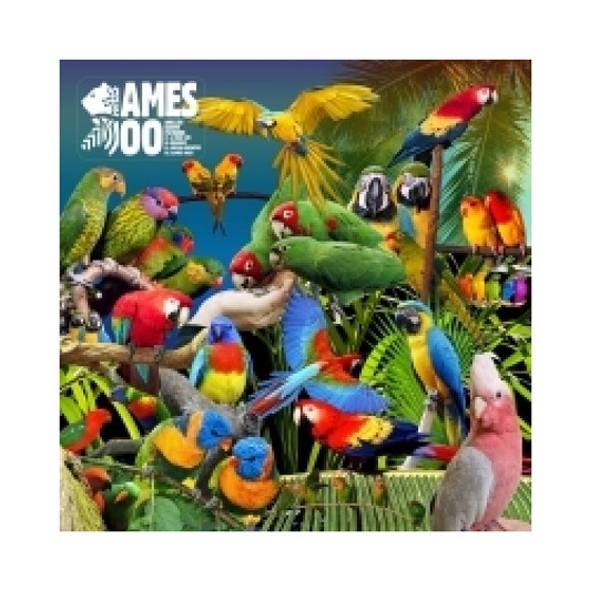 Jameszoo - Guanyin Psittacines - 10" Vinyl Jameszoo - Guanyin Psittacines - 10" Vinyl