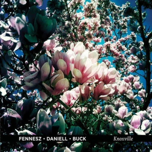 Fennesz, Daniell, Buck - Knoxville - LP Vinyl