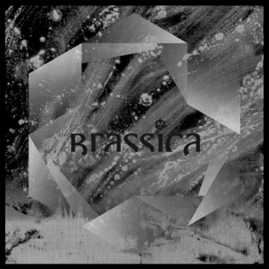 Brassica - Temple Fortune - 12" Vinyl Brassica - Temple Fortune - 12" Vinyl
