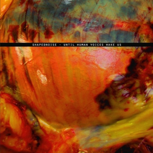 Shapednoise - Until Human Voices Wake Us - LP Vinyl Shapednoise - Until Human Voices Wake Us - LP Vinyl