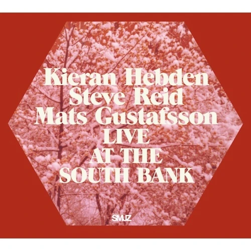 Kieran Hebden/Steve Reid/Mats Gustafsson - Live At The South Bank - 2x LP Vinyl