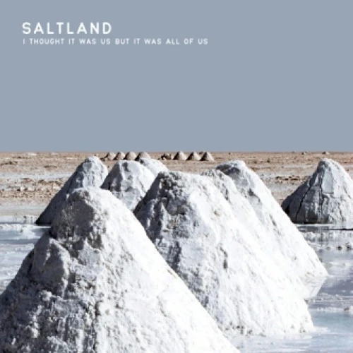 Saltland - I Thought It Was us But it Was All Of us - LP Vinyl