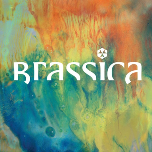 Brassica - Hayat Zor - 12" Vinyl Brassica - Hayat Zor - 12" Vinyl