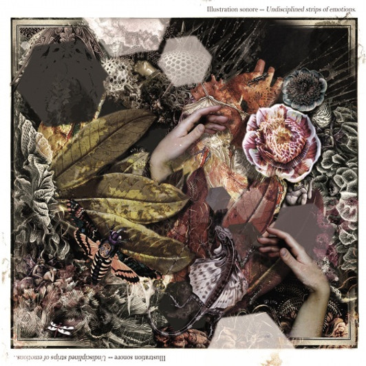 Illustration Sonore - Undisciplined Strips Of Emotions - LP Vinyl Illustration Sonore - Undisciplined Strips Of Emotions - LP Vinyl