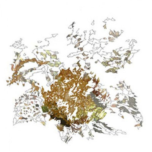 Max Eilbacher - Red Anxiety Tracers - LP Vinyl