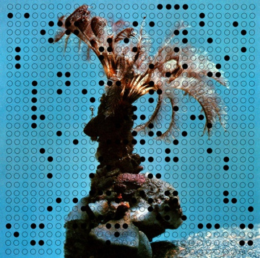 Heatsick - Intersex - LP Vinyl