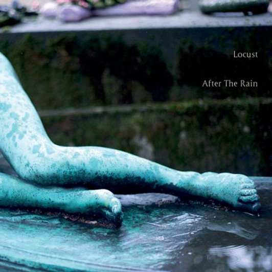 Locust - After The Rain - LP Vinyl Locust - After The Rain - LP Vinyl