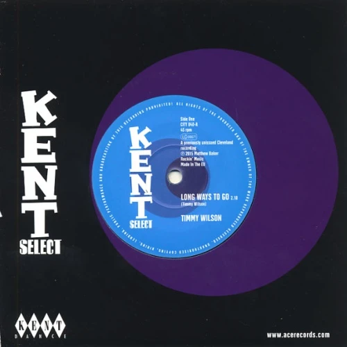 Timmy Wilson - Long Ways to Go - 7" Vinyl