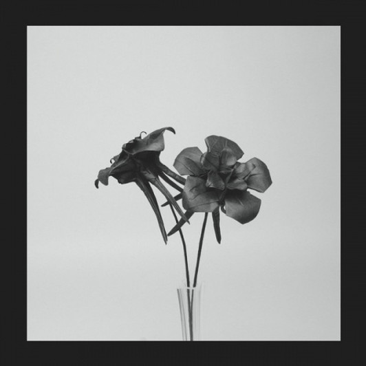 Jlin - Dark Lotus - 12" Vinyl Jlin - Dark Lotus - 12" Vinyl