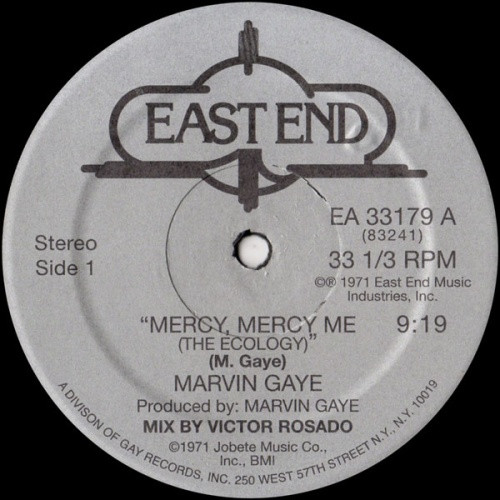 Marvin Gaye - Mercy, Mercy Me (The Ecology) - 12" Vinyl