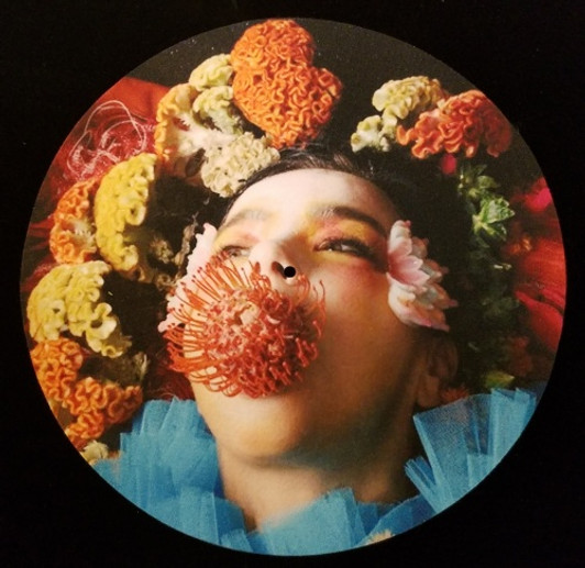Bjork - Dazed Cover - Single Slipmat Bjork - Dazed Cover - Single Slipmat