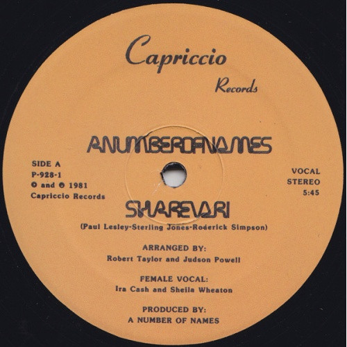 A Number Of Names - Sharevari - 12" Vinyl