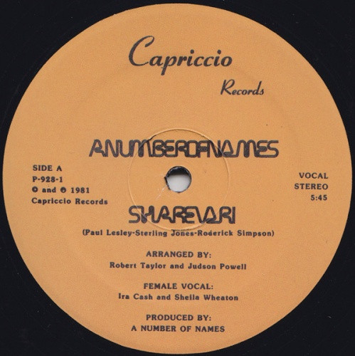 A Number Of Names - Sharevari - 12" Vinyl