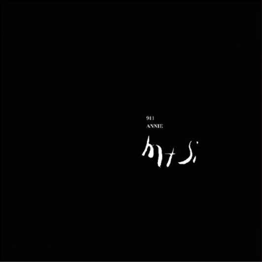 Mt. Si - 911 - 12" Vinyl