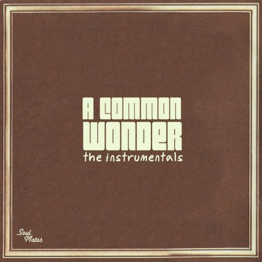 Common Vs. Stevie Wonder - A Common Wonder Instrumentals - 2x LP Vinyl