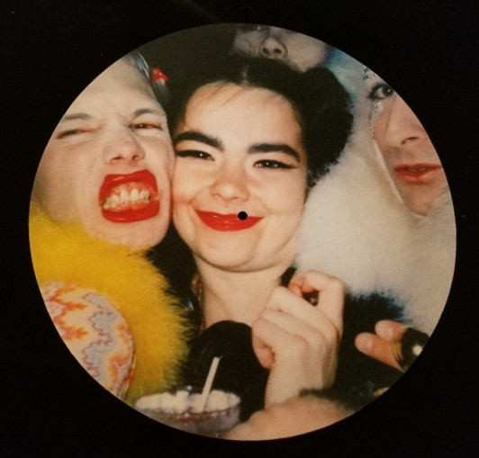 Bjork - Has Funny Friends - Single Slipmat Bjork - Has Funny Friends - Single Slipmat
