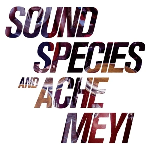 Soundspecies & Ache Meyi - Soundspecies & Ache Meyi - 2x LP Vinyl