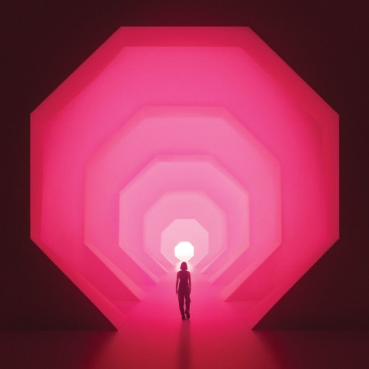 Lapalux - Amnioverse - 2x LP Colored Vinyl