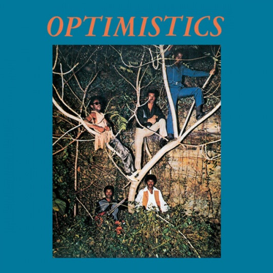 Optimistics - Optimistics - LP Vinyl