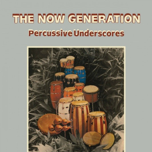 Peter Ludemann / Pit Troja - The Now Generation (Percussive Underscores) - LP Vinyl