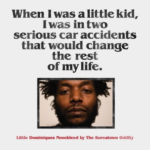 The Koreatown Oddity - Little Dominiques Nosebleed - 2x LP Vinyl