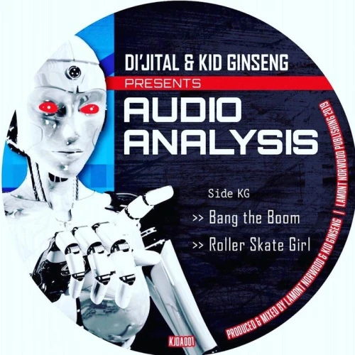 Di'jital & Kid Ginseng - Audio Analysis - 12" Vinyl