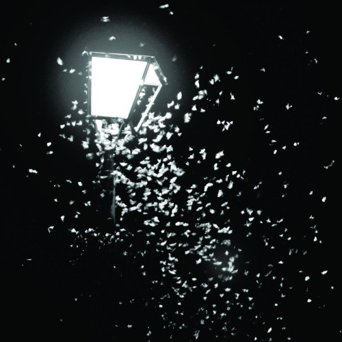 Mothboy / Amantra - The Lives Of Every Person Driving The Same Highway - 7" Vinyl