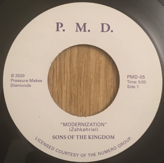 Sons Of The Kingdom - Modernization / Hey There - 7" Vinyl Sons Of The Kingdom - Modernization / Hey There - 7" Vinyl