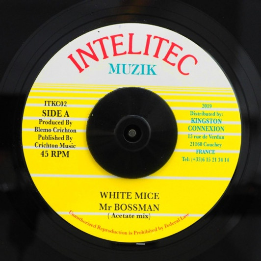 White Mice - Youths Of Today - 7