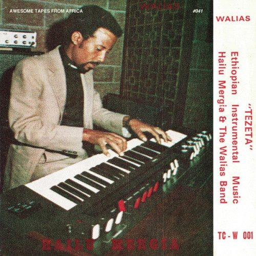 Hailu Mergia & The Walias Band - Tezeta - LP Vinyl