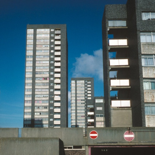 Basic Rhythm - Electronic Labyrinth - LP Vinyl Basic Rhythm - Electronic Labyrinth - LP Vinyl