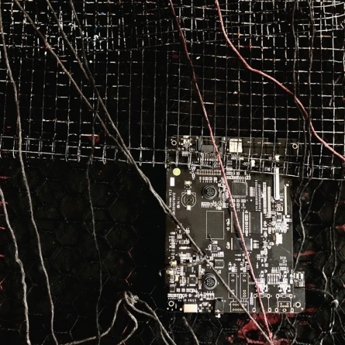 Merzbow / Prurient - Black Crows Cyborg - LP Colored Vinyl