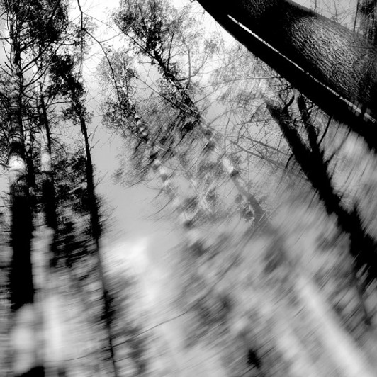 Loess - Totems - LP Colored Vinyl