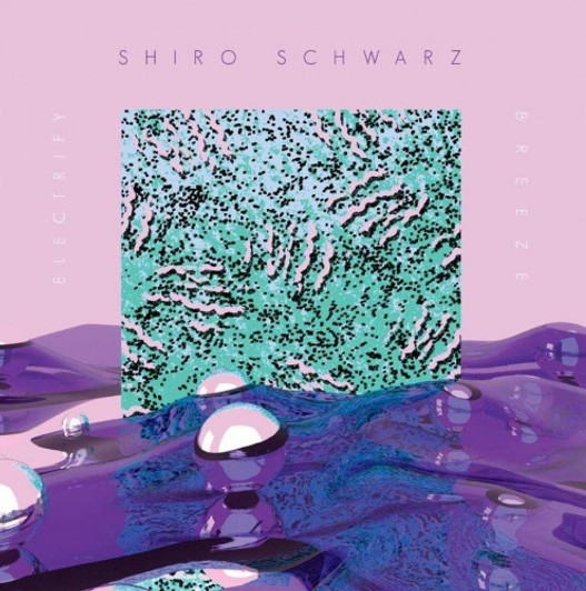 Shiro Schwarz - Electrify - 12" Vinyl Shiro Schwarz - Electrify - 12" Vinyl