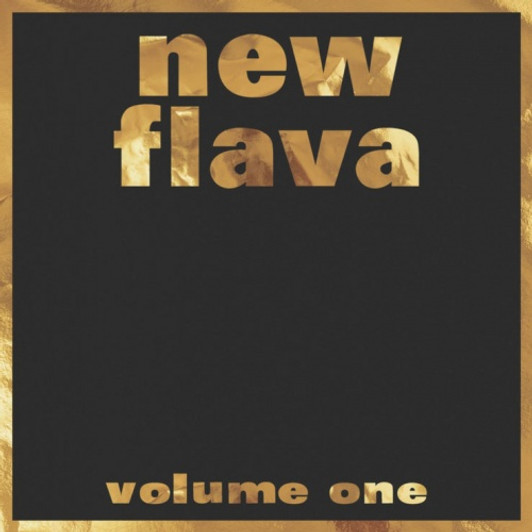 Various Artists - New Flava Vol. 1 - 2x LP Vinyl