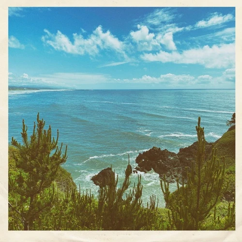 Oilix - Nothing But Summer - 7" Vinyl