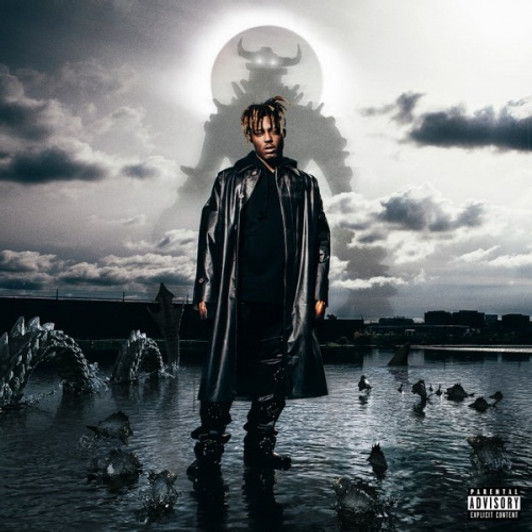 Juice WRLD - Fighting Demons - 2x LP Vinyl