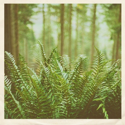 mtbrd - Just Visiting - 7" Vinyl
