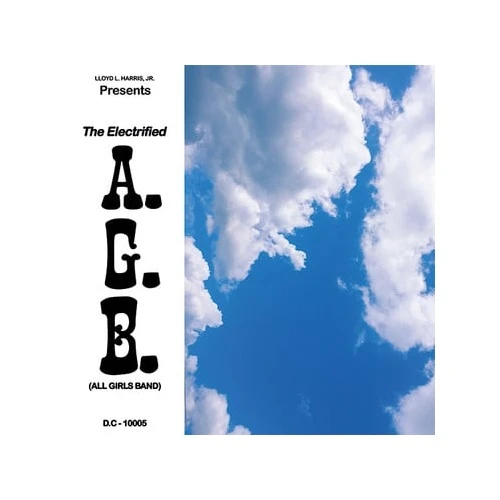 Electrified A.G.B. - Fly Away RSD - 12" Vinyl