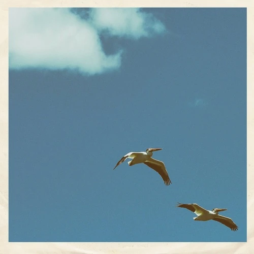 Sim Nagai - Palm Dreams - 7" Vinyl