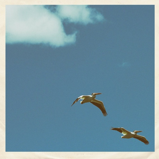 Sim Nagai - Palm Dreams - 7" Vinyl