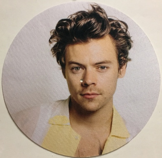 Harry Styles - #5 (Color Portrait) - Single Slipmat Harry Styles - #5 (Color Portrait) - Single Slipmat