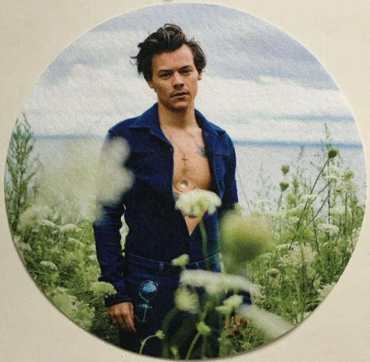 Harry Styles - #3 (Flowers) - Single Slipmat Harry Styles - #3 (Flowers) - Single Slipmat