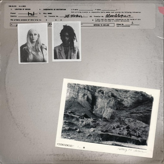 700 Bliss - Nothing To Declare - LP Clear Vinyl