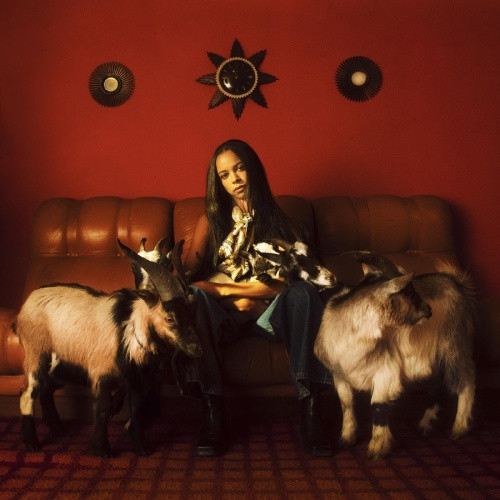 TSHA - Capricorn Sun - 2x LP Colored Vinyl