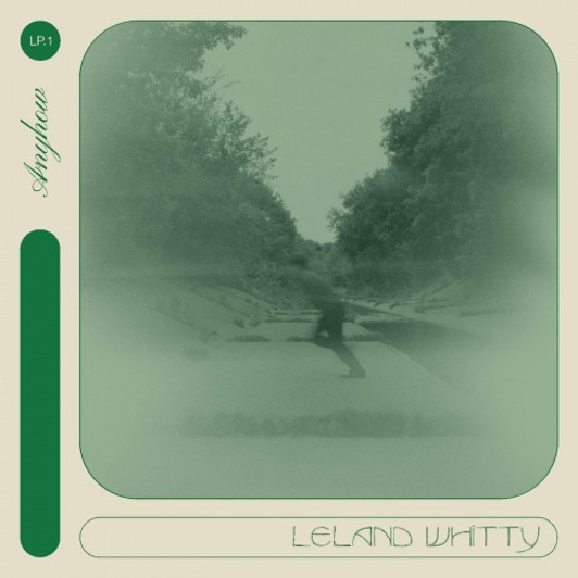 Leland Whitty - Anyhow - LP Vinyl
